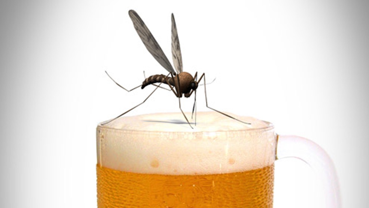 mosquito alcohol