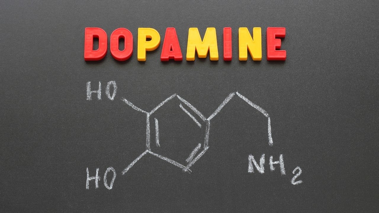excess of dopamine