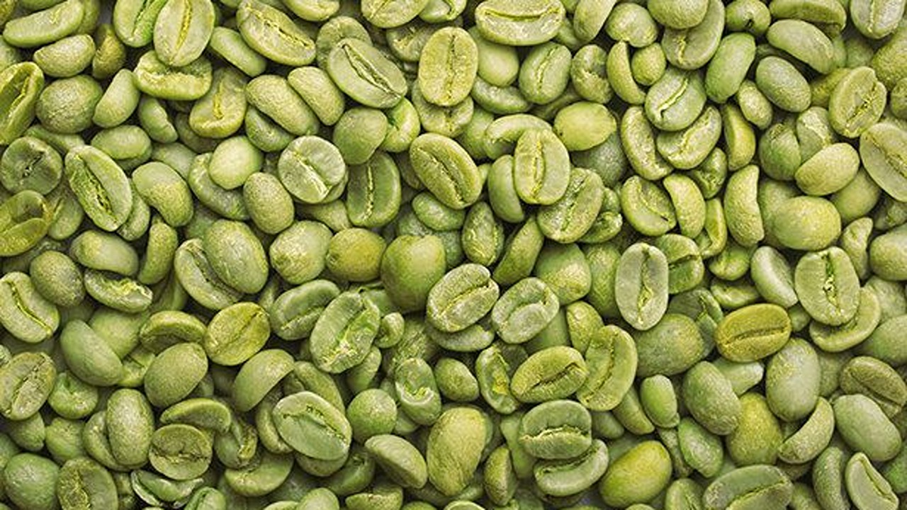 green coffee bean