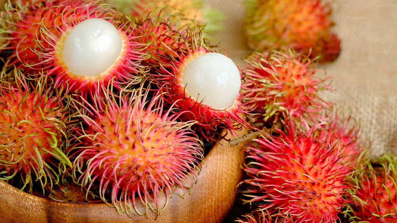 Rambutan