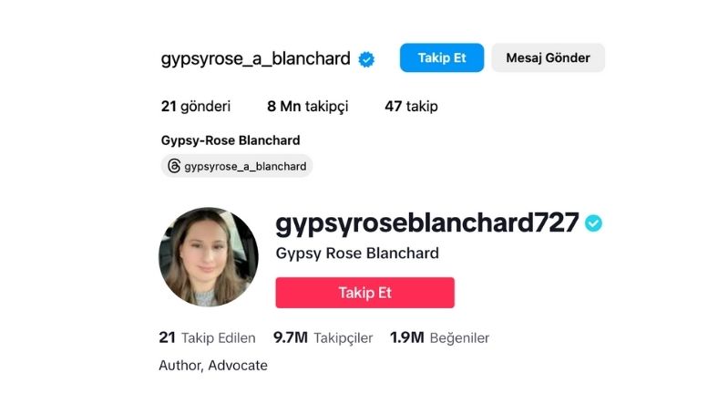 Gypsy Abonnés TikTok et Instagram