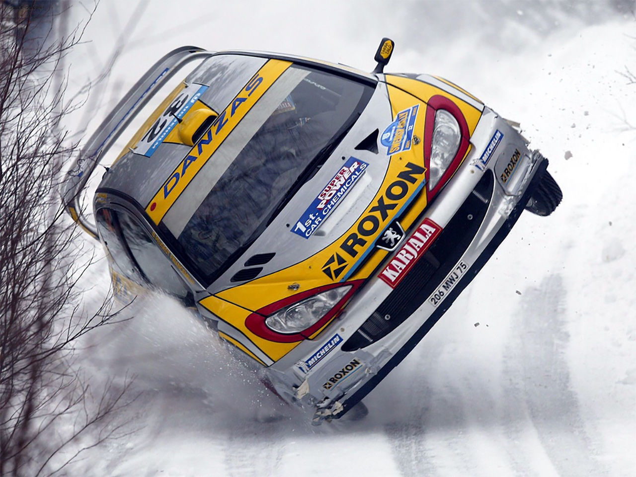 Rallye Peugeot 206