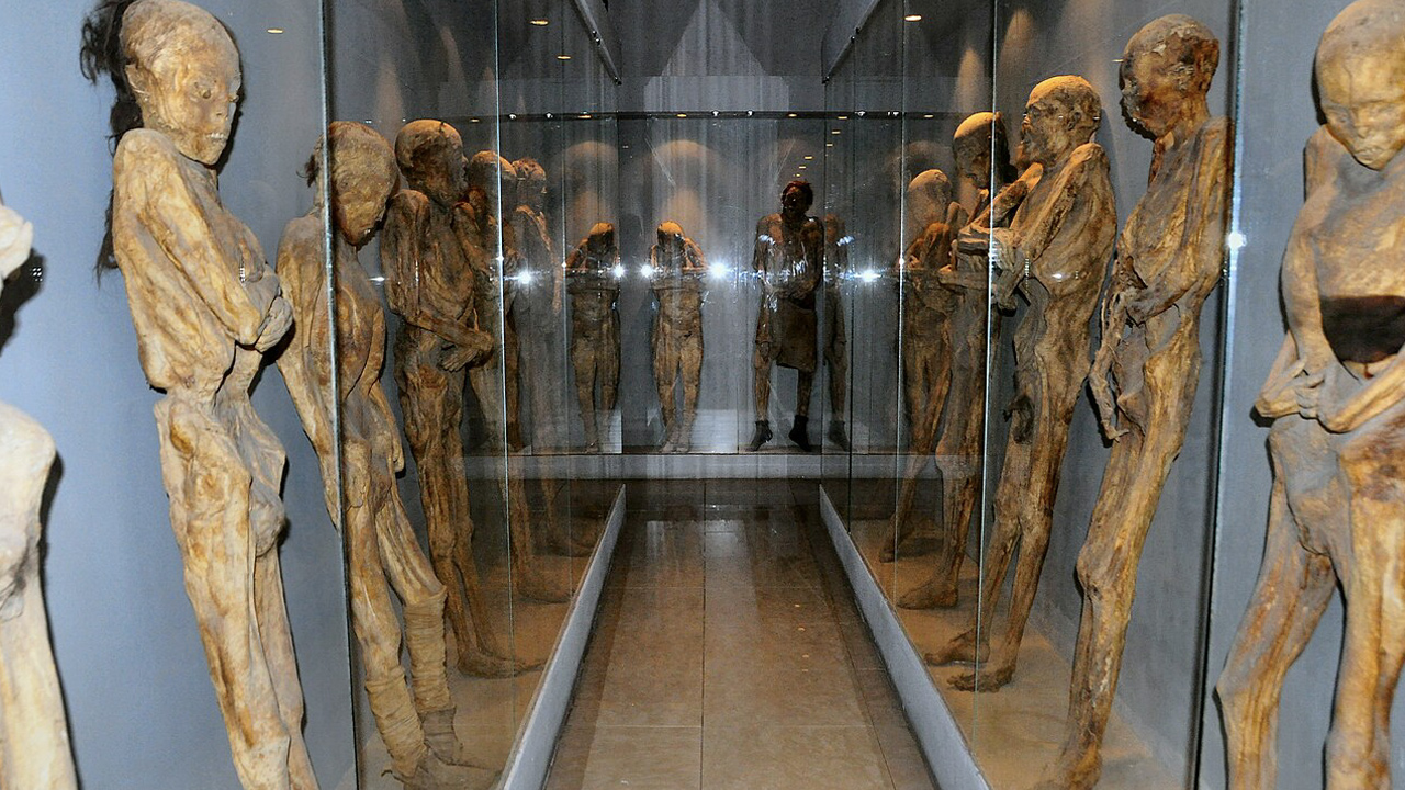 mumya müzesi