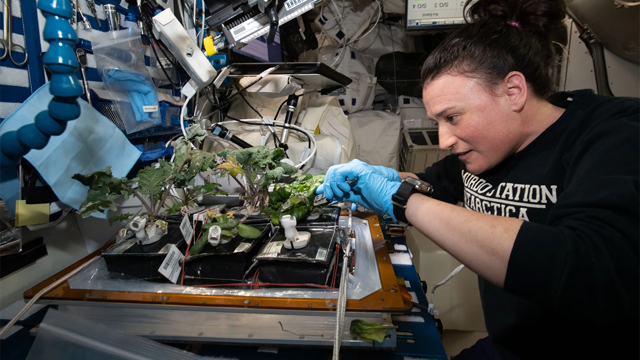 Astronotlar Uzayda Nasıl Oluyor da Bitki Yetiştirebiliyor?