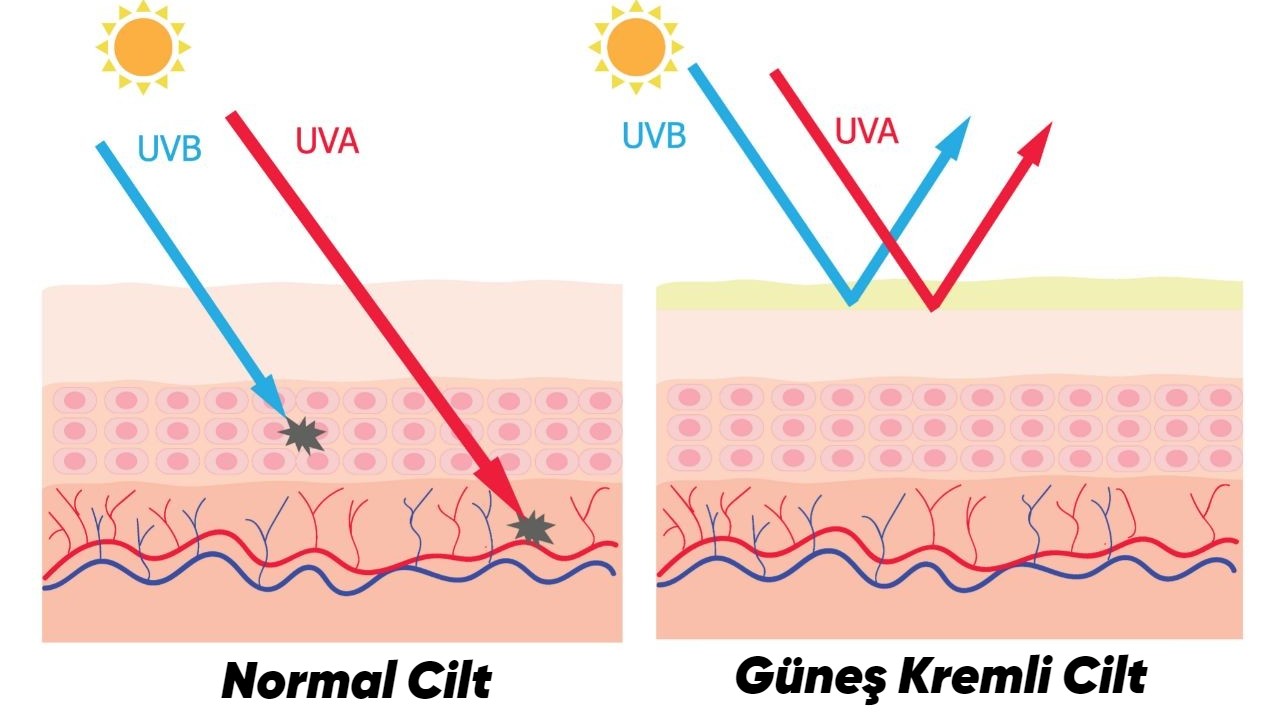 Güneş Kremleri Nasıl Oluyor da UV Işınlarını Bir Kalkan Gibi Engelleyebiliyor?