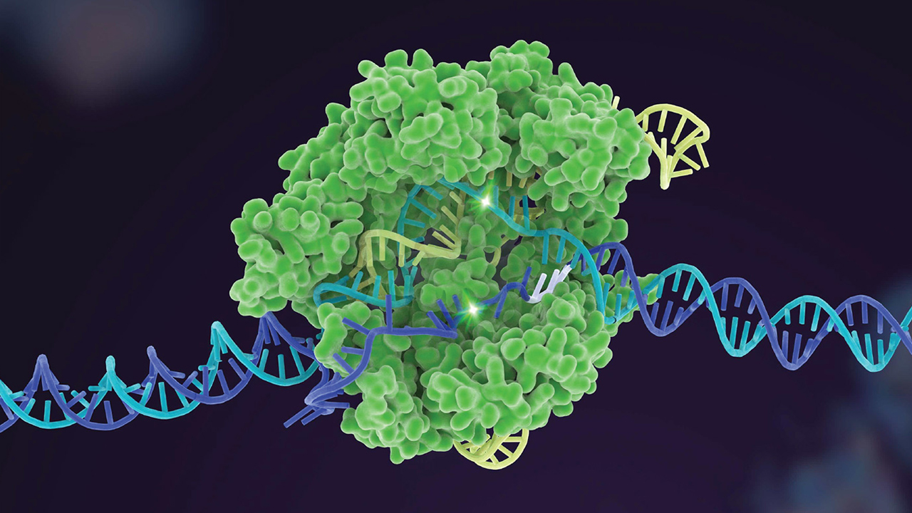 CRISPR