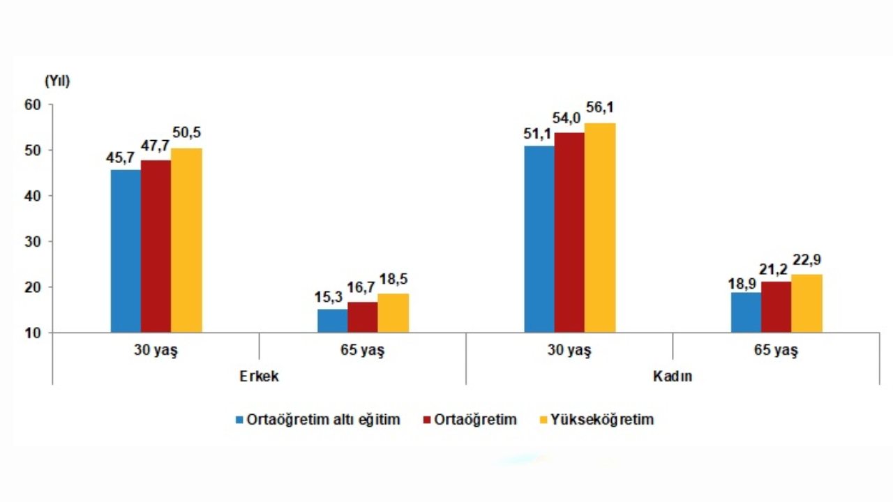 eğitim seviyesi yaşam süresi tüik