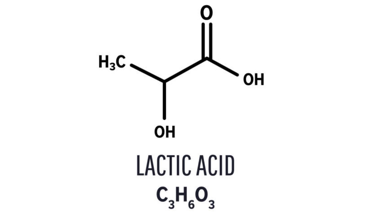 Laktik Asidin Vücudumuzda Yalnızca Spor Yaparken Birikmesinin Sebebi Nedir? (Üstelik Bunun Olumsuz Bir Şey Olduğunu Söyleyenler Var!)