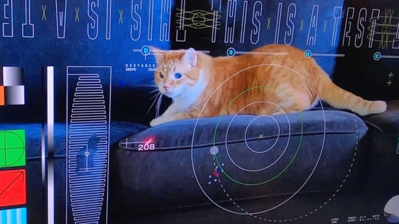 nasa lazer kedi videosu gönderdi 