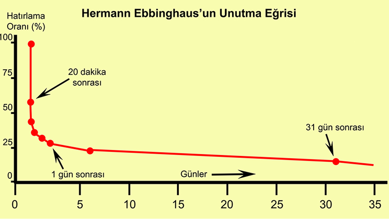 Unutmanın Şaşırılacak Faydaları Neler? Beyninizin Sizi Korumak İçin Geliştirdiği Dahiyane Plan!