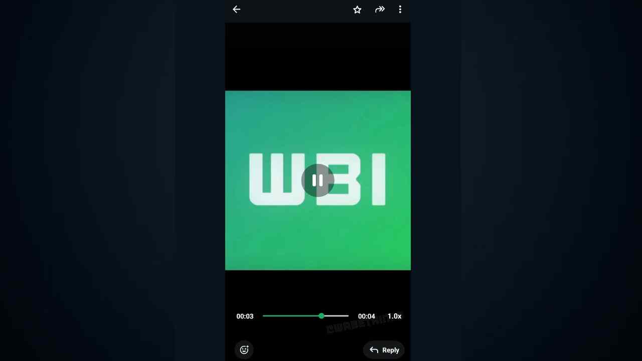 whatsapp video oynatma hızı android