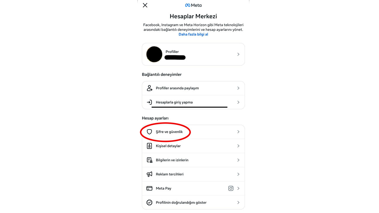 instagram başka hesapların giri pgirmediğini görme